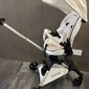 CY019